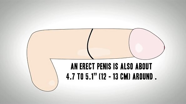 ஒரு பெண்ணுக்கு காதல் கழுதை நக்கும்